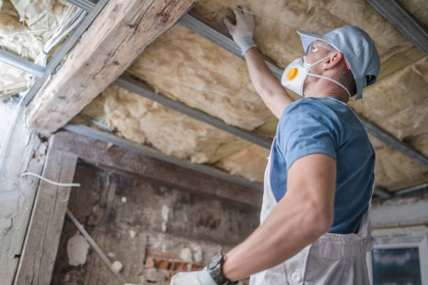 Best DIY Insulation Kits and Guidance in Milltown, NJ